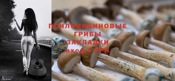 apvp Абдулино