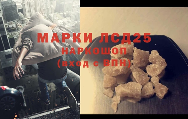 сатива Коряжма